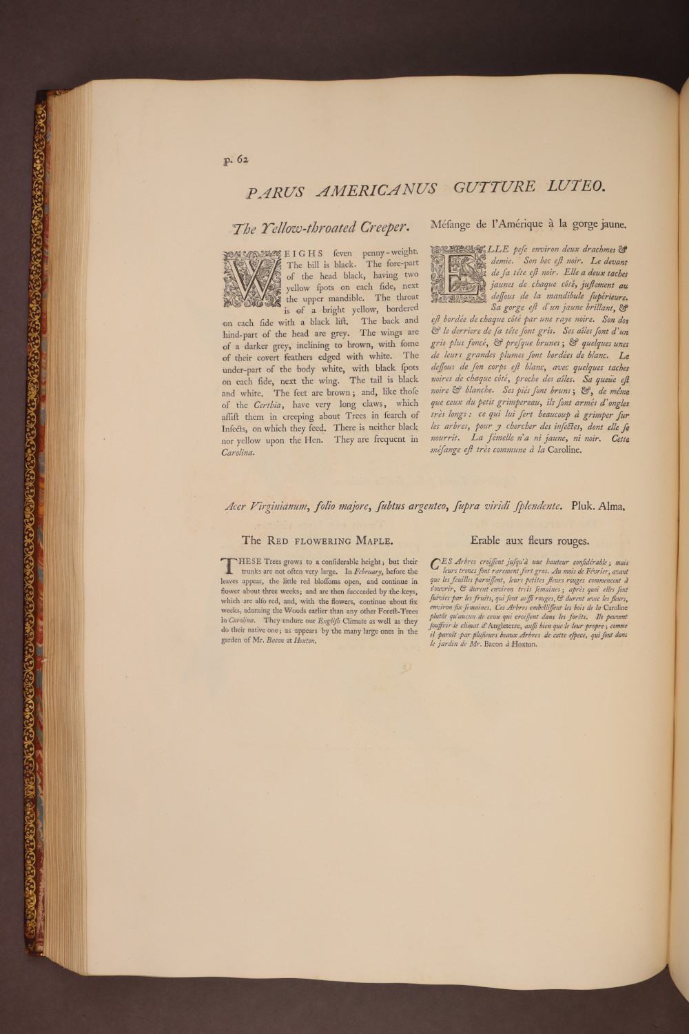 Page 62